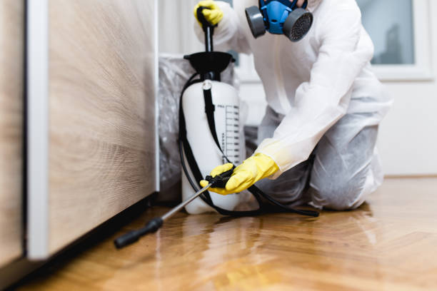 Best Flea Control Services  in Hickory, NC
