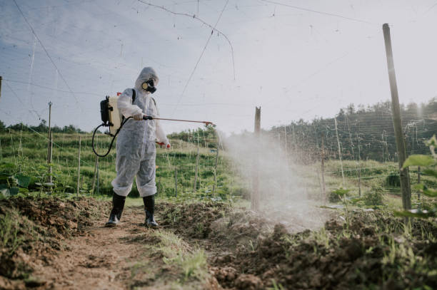 Best Mosquito Control Services  in Hickory, NC