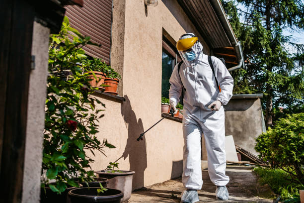 Best Emergency Pest Control  in Hickory, NC