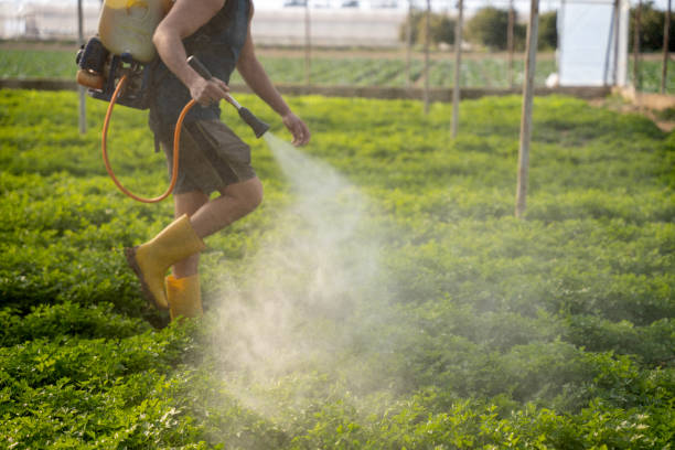 Best Pest Removal Services  in Hickory, NC