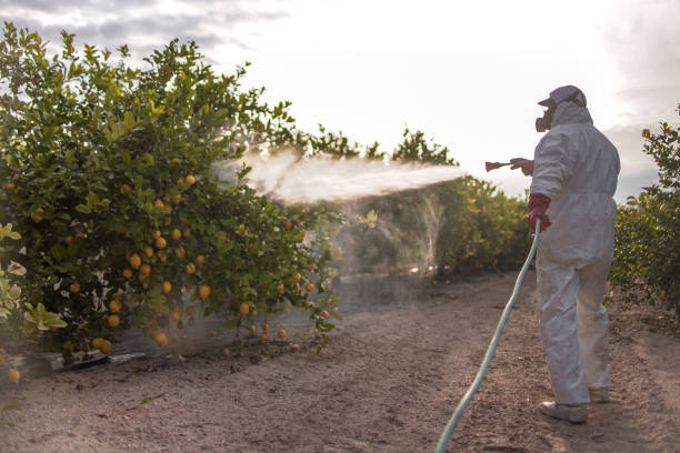 Best Mosquito Control Services  in Hickory, NC