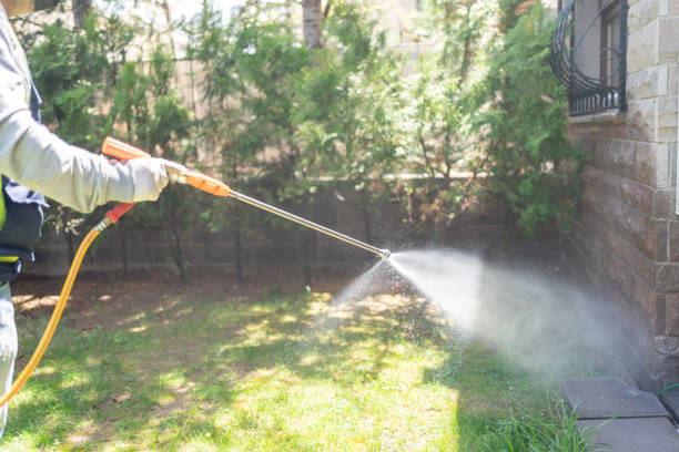 Best Best Pest Control Companies  in Hickory, NC